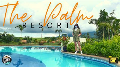 camsur beach resort|The Palm Resort.